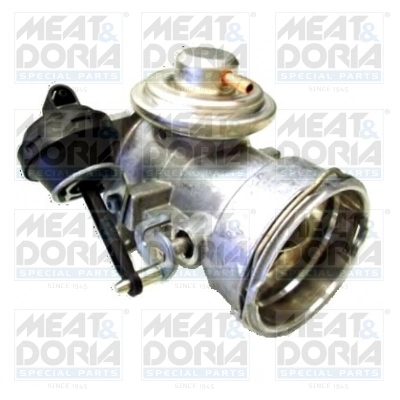EGR Valve